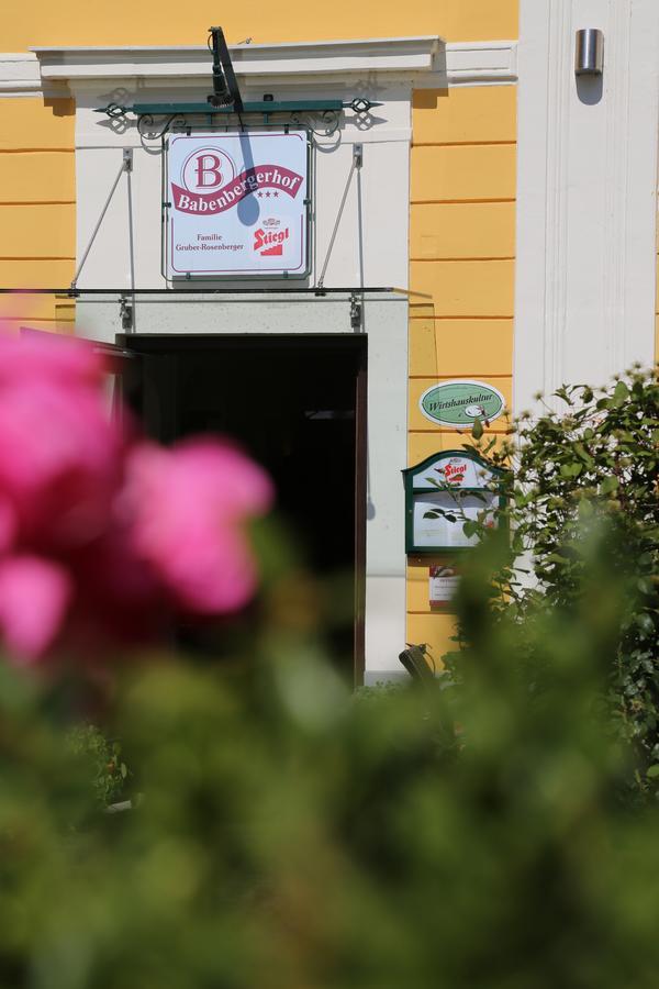 Babenbergerhof Hotell Ybbs an der Donau Exteriör bild